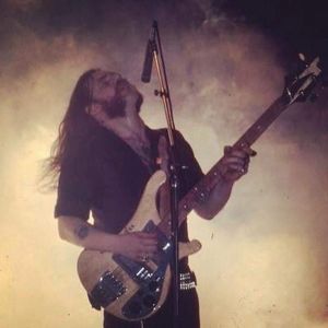 Meet your Posher, Steve